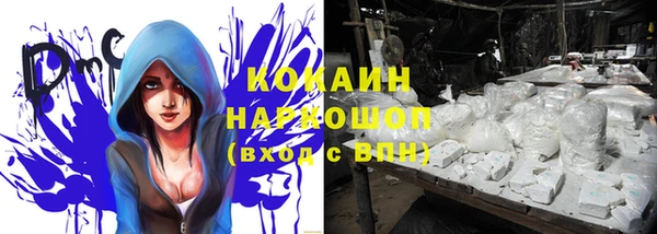 гидра Дмитровск