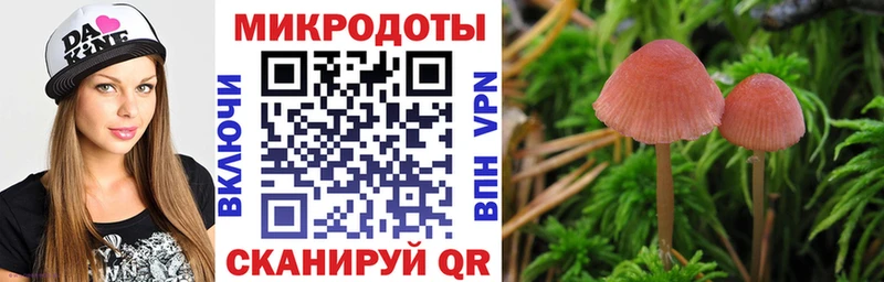 Псилоцибиновые грибы Psilocybe  купить наркотики цена  Заозёрный 
